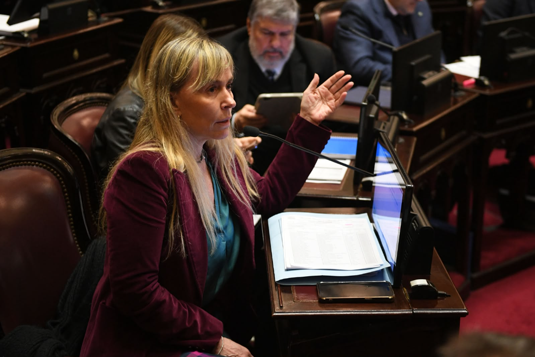 Di Tullio presentó un proyecto para derogar el "blindaje fiscal".