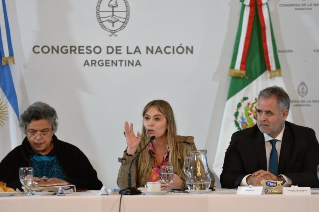 Di Tullio: “Debemos avanzar con México en la discusión sobre las monedas de intercambio comercial”
