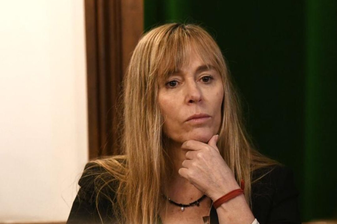 DI TULLIO DENUNCIÓ A MILEI Y BULLRICH POR LOS MENSAJES DEL PARO EN LA APP “MI ARGENTINA”